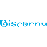 Брелки, гольниці та висульки Biscornu
