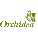 Дитячі набори Orchidea